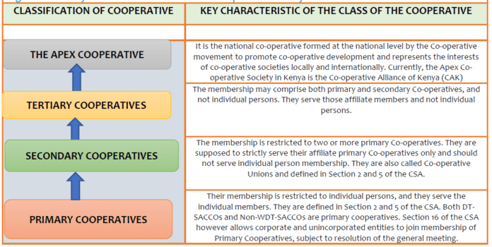 Types of Cooperatives