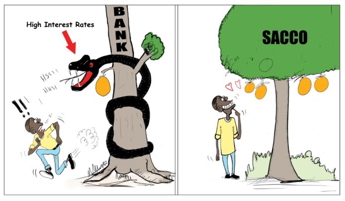 Cartoon Bank Vs Sacco Loan Comparison illsutration