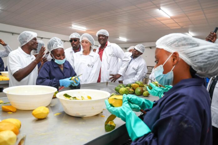 Cooperatives and fruit processing in Kilifi